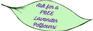 free lavender